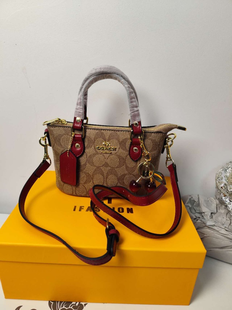 High-End Light Luxury Small Handbag – 2025 New Trend
