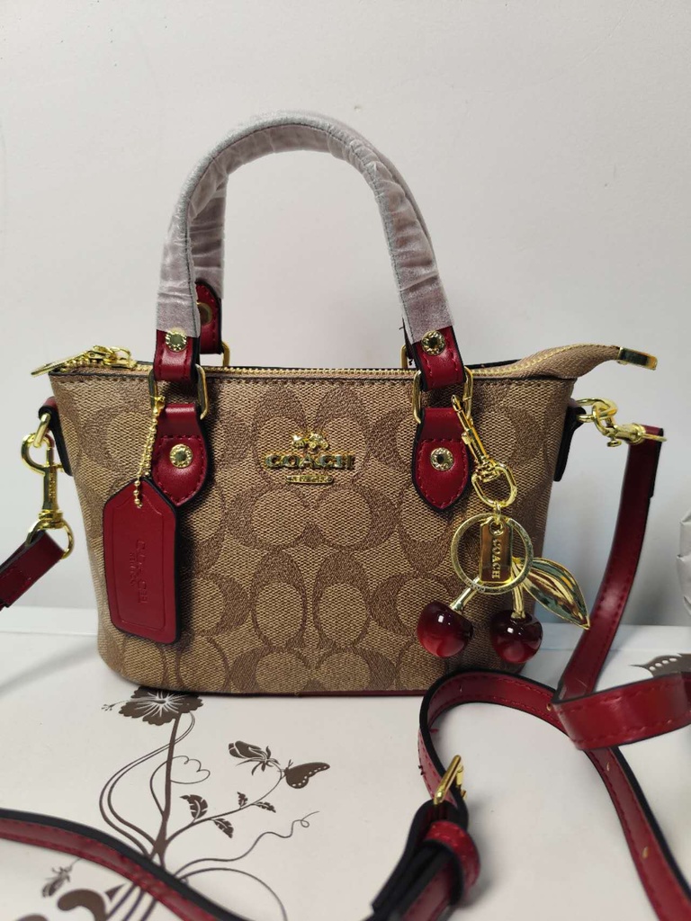 High-End Light Luxury Small Handbag – 2025 New Trend